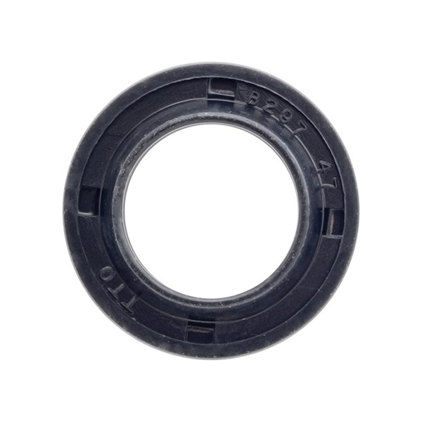 0019.0129.00, BXD OIL SEAL