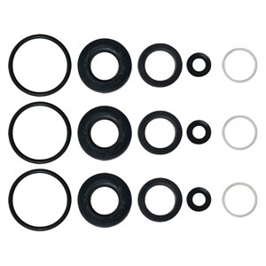 120440001, Seal Kit for Ridgid Pump