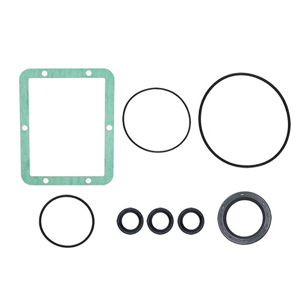 202B1410GS, Oil Seal Kit  Briggs and Stratton