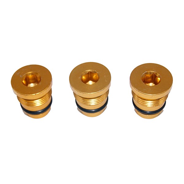 1002.5693, VALVE CAP KIT