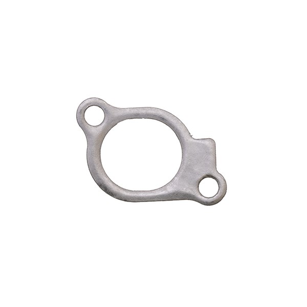 1002.6676, INTAKE GASKET