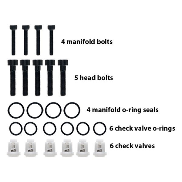 203B3699, Generac Pressure Washer Check Valve O-Ring Kit