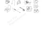 BRUTE, 020290-0, IPL.4 thumbnail