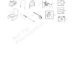 BRUTE, 020290-1, IPL.4 thumbnail