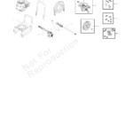 BRUTE, 020290-2, IPL.4 thumbnail