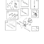 BRUTE, 020290-2, IPL.6 thumbnail
