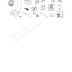 BRUTE, 020291-1, IPL.4 thumbnail