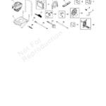 BRUTE, 020291-3, IPL.4 thumbnail