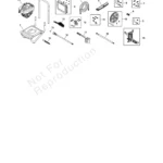 BRUTE, 020291-4, IPL.4 thumbnail