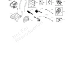 BRUTE, 020300-1, IPL.4 thumbnail