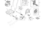 BRUTE, 020301-3, IPL.4 thumbnail