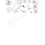 BRUTE, 020302-1, IPL.4 thumbnail