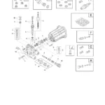 BRUTE, 020303-04, IPL.6 thumbnail