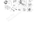 BRUTE, 020426-1, IPL.4 thumbnail