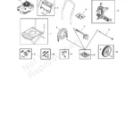 BRUTE, 020443-1, IPL.4 thumbnail
