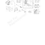 BRUTE, 020450-1, IPL.4 thumbnail