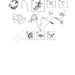BRUTE, 020553-00, IPL.4 thumbnail