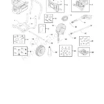 BRUTE, 020743-00, IPL.4 thumbnail