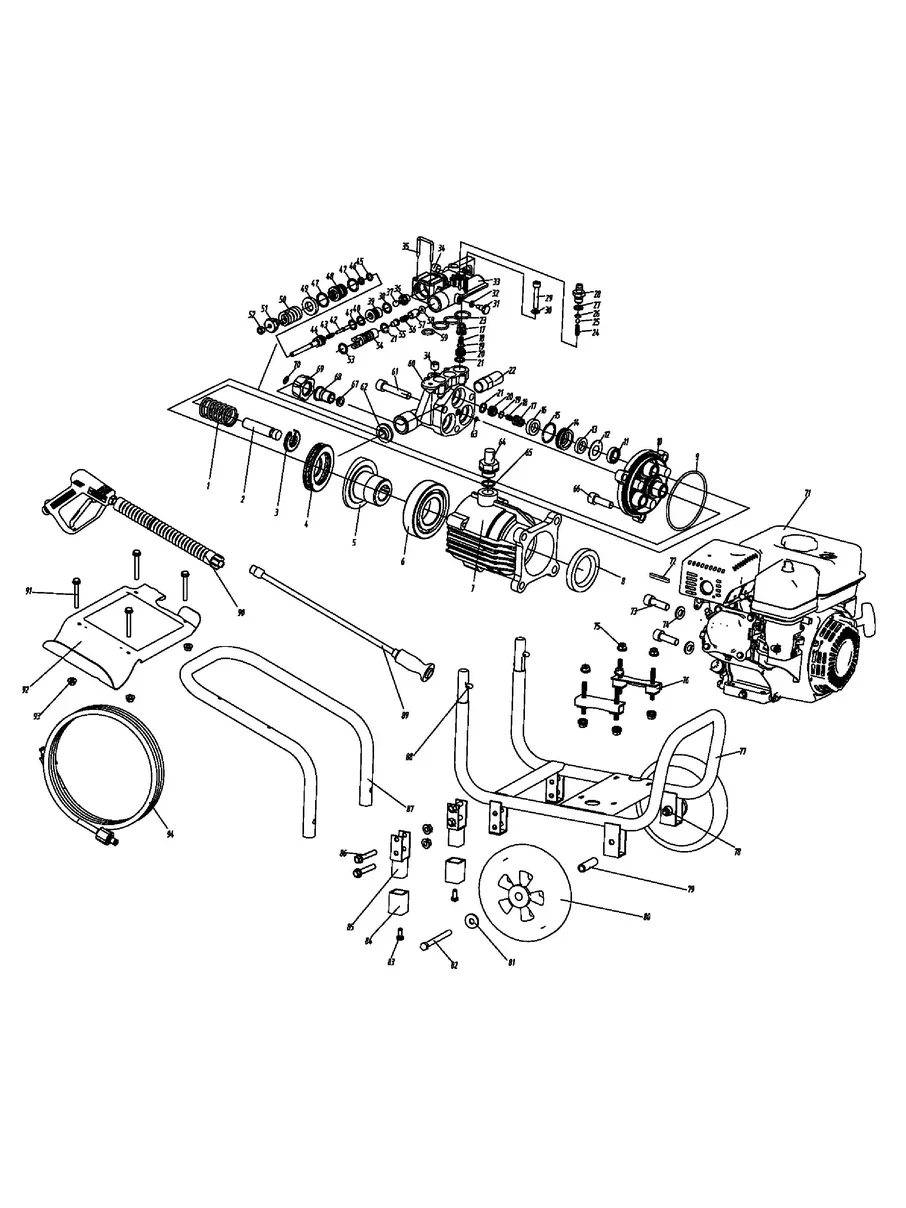 CHAMPION, 70001, IPL.19