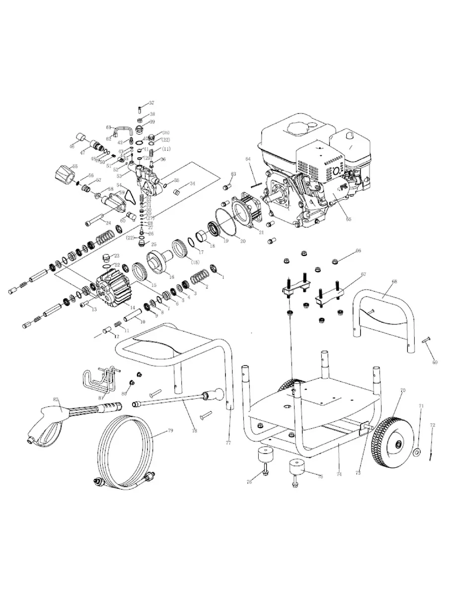 CHAMPION, 70002, IPL.20