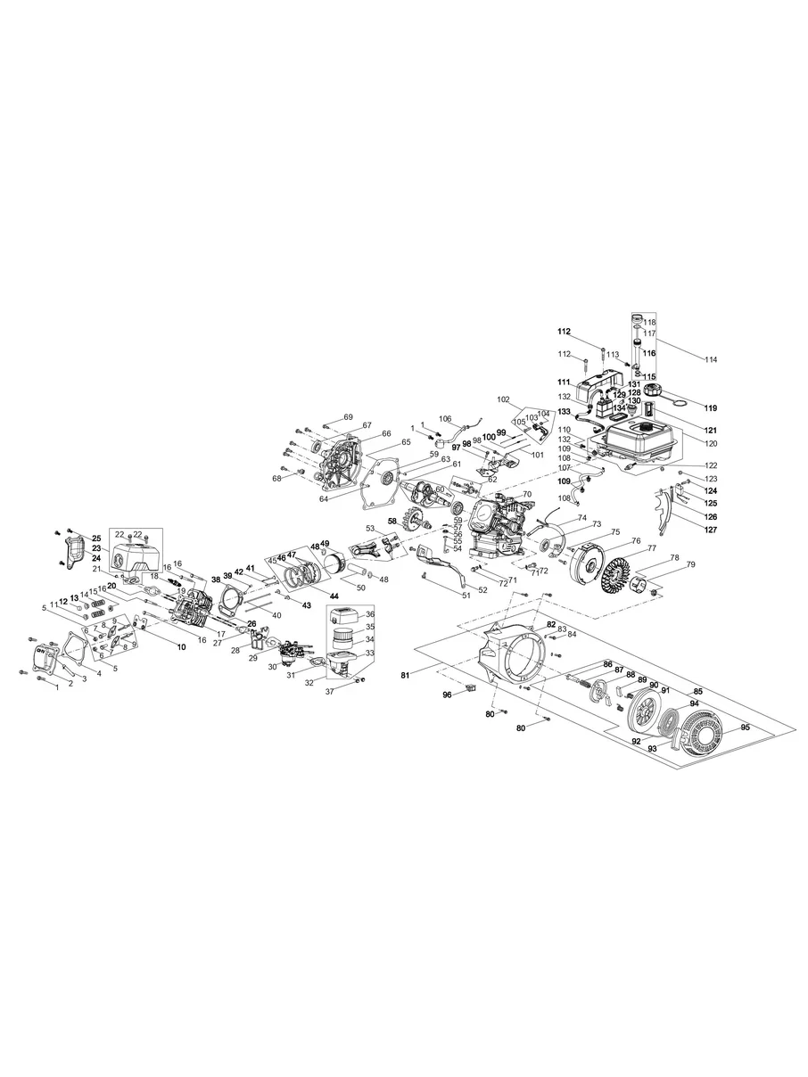 CHAMPION, 75520, IPL.24