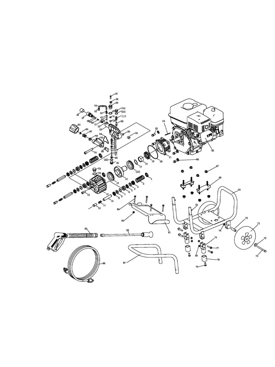 CHAMPION, C24065, IPL.21