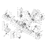 CHAMPION, C24065, IPL.24 thumbnail