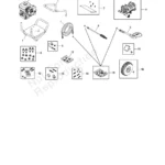 DIAMOND, 020307-01, IPL.4 thumbnail