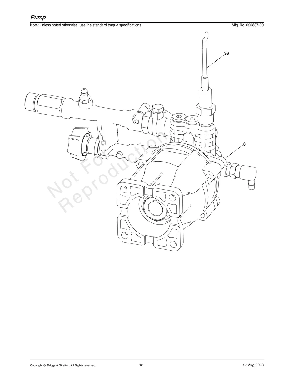 SNAPPER, 020837-00, IPL.12