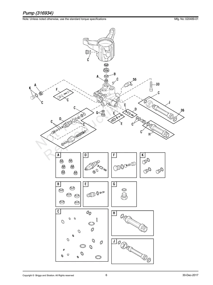 TROY-BILT, 020489-01, IPL.6