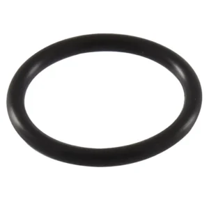 O-ring