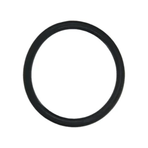 O-ring