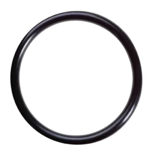 O-ring