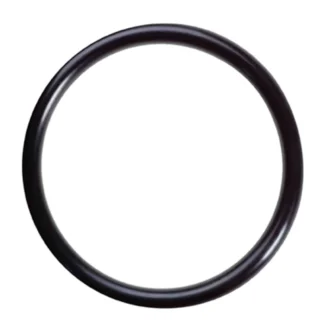 O-ring