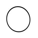 O-ring