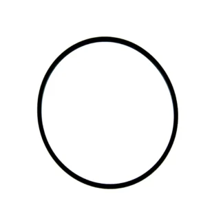 O-ring