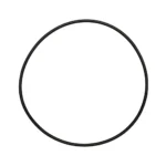 O-ring
