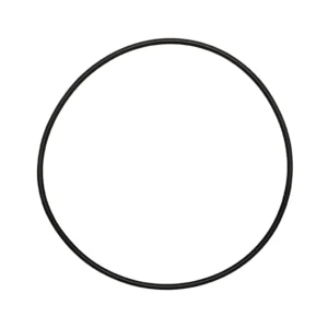 O-ring