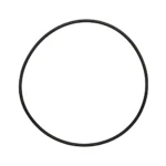 O-ring