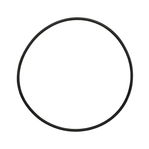 O-ring