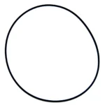 O-ring