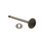 Intake Valve