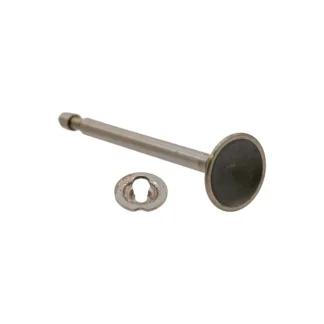 Intake Valve
