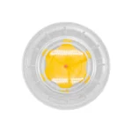 Sight Glass