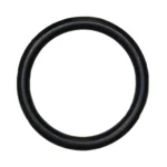 O-ring