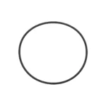 O-ring