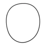 O-ring