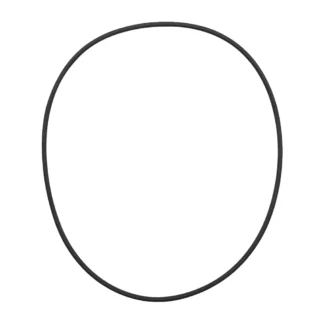 O-ring
