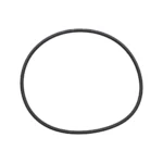 O-ring