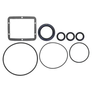 Oil Seal Kit 202B1410GS Briggs and Stratton